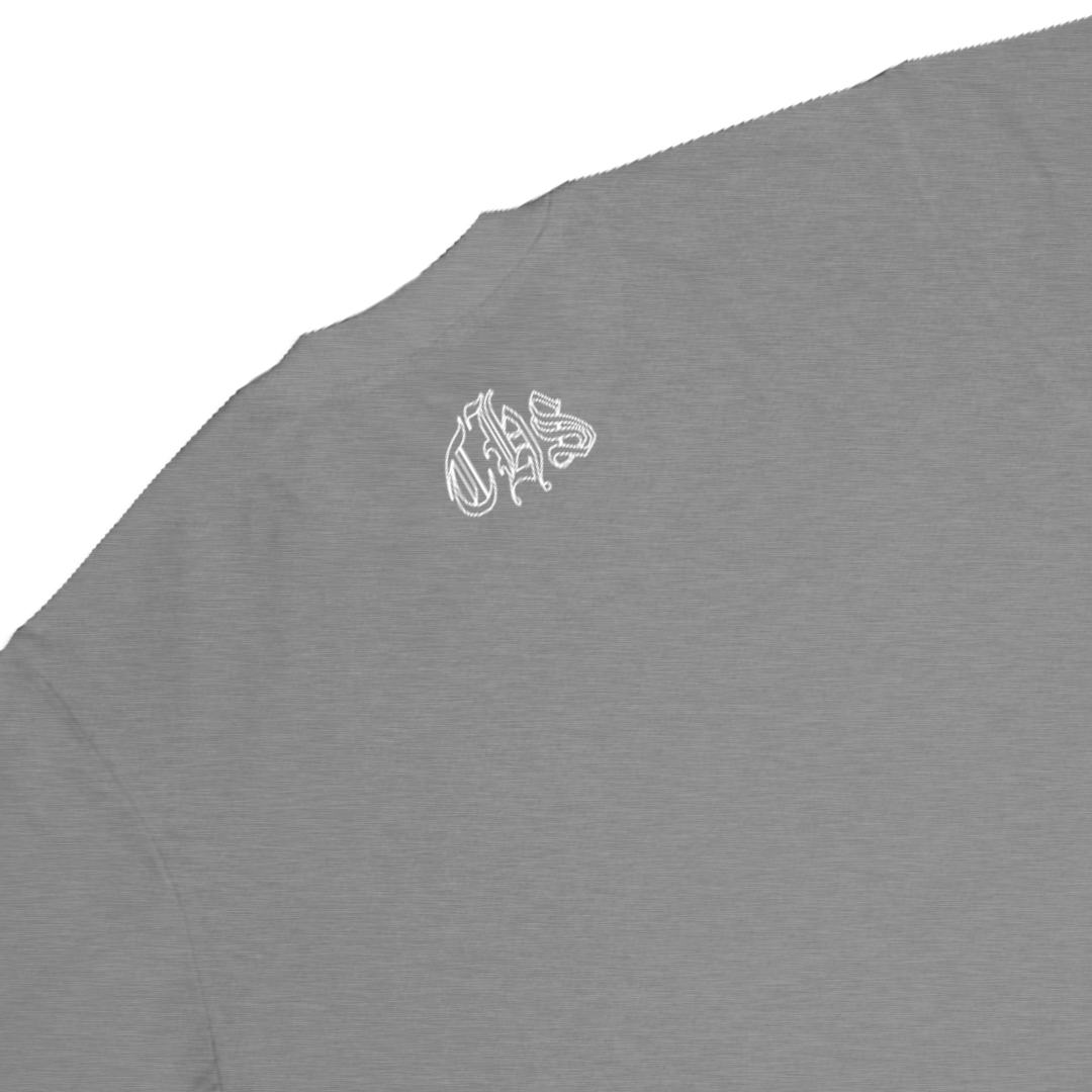 Camiseta básica THS. streetwear gray