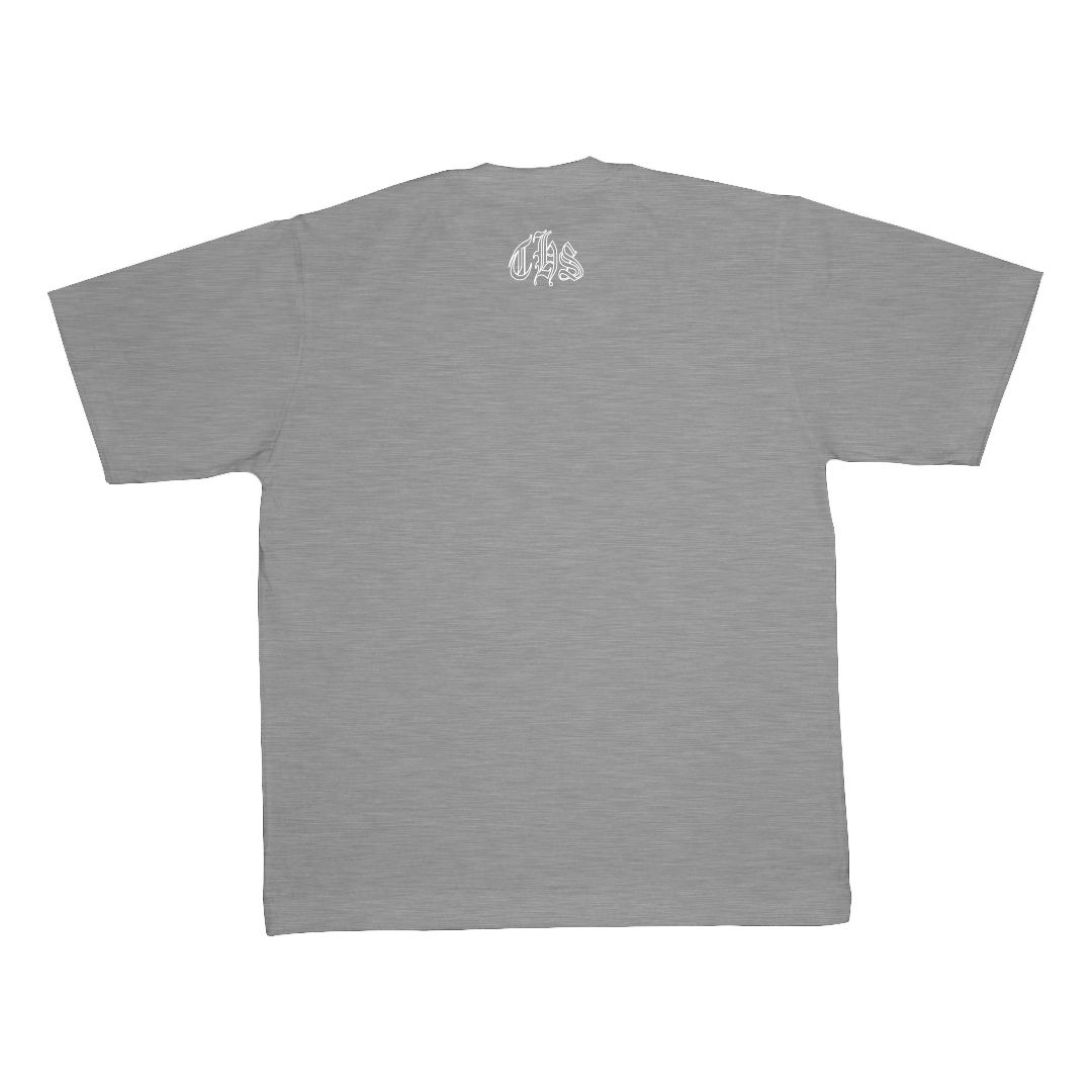 Camiseta básica THS. streetwear gray